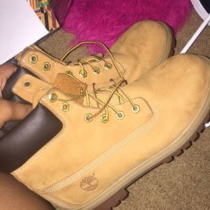 6.5 Timberlands